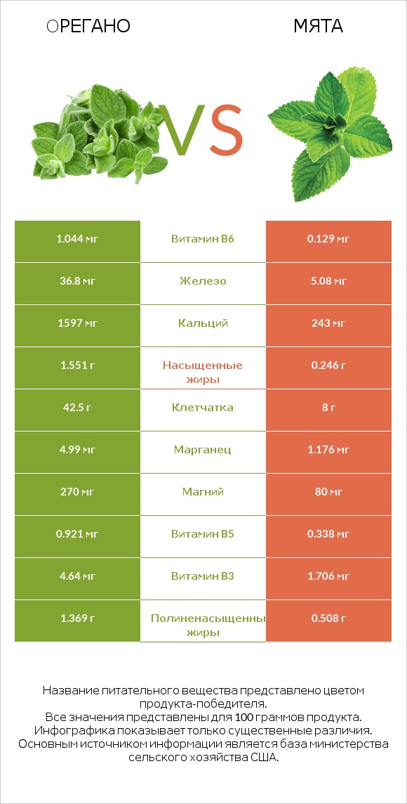 Oрегано vs Мята infographic