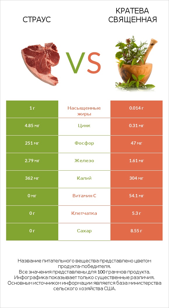 Страус vs Кратева священная infographic