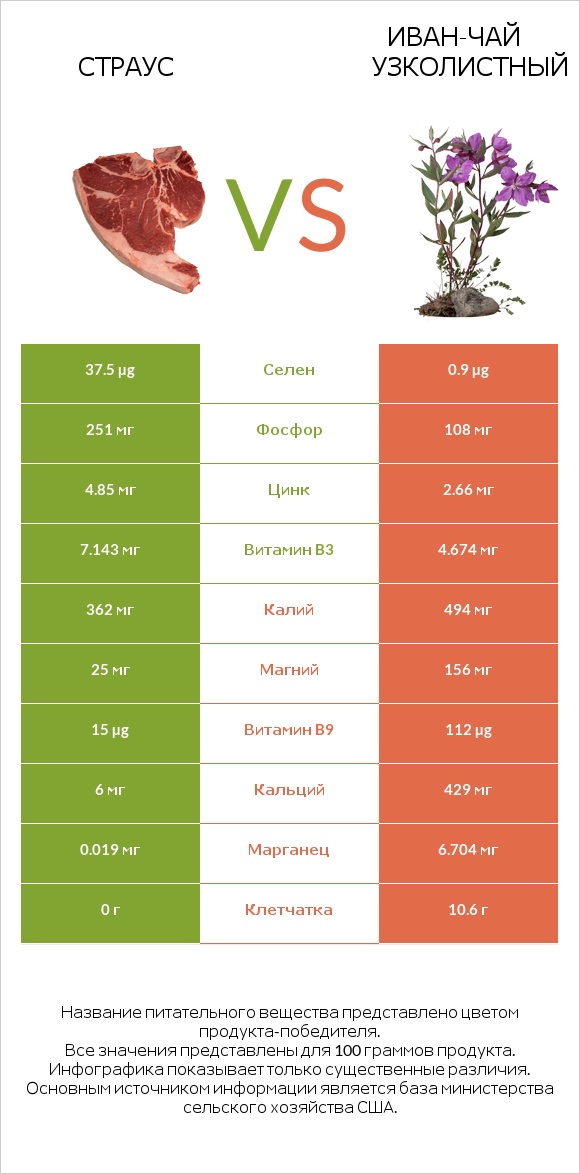 Страус vs Иван-чай узколистный infographic