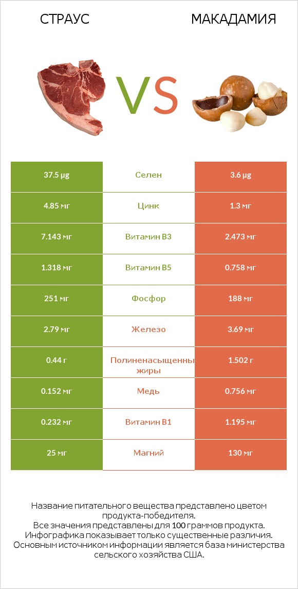 Страус vs Макадамия infographic