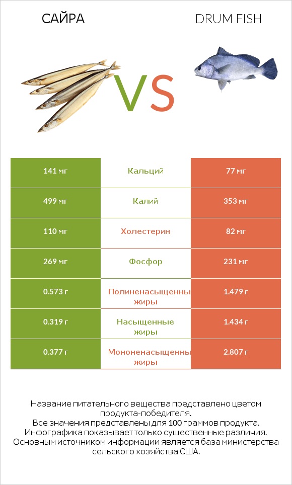 Сайра vs Drum fish infographic