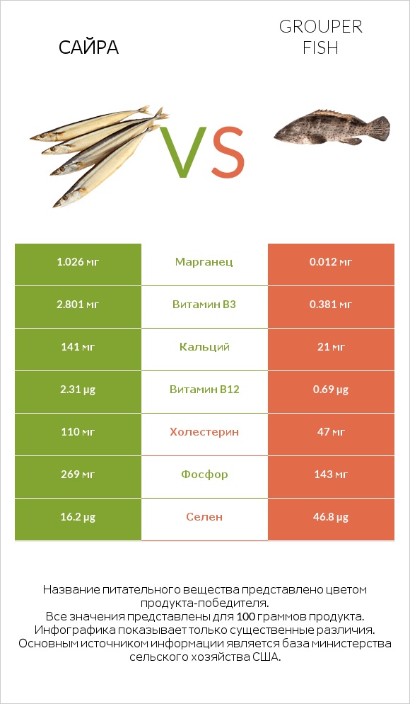 Сайра vs Grouper fish infographic