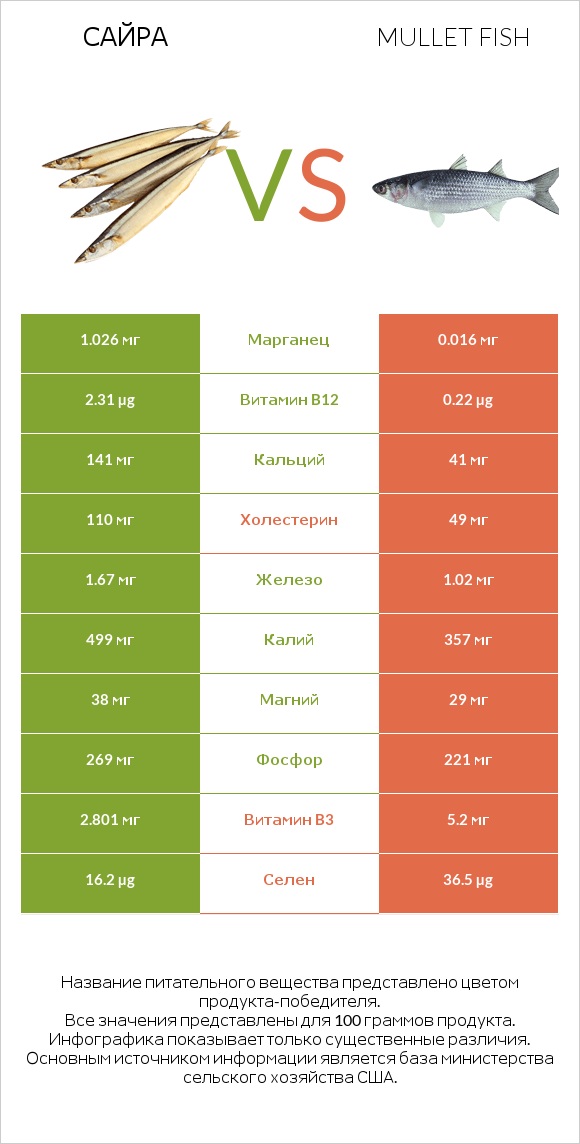 Сайра vs Mullet fish infographic