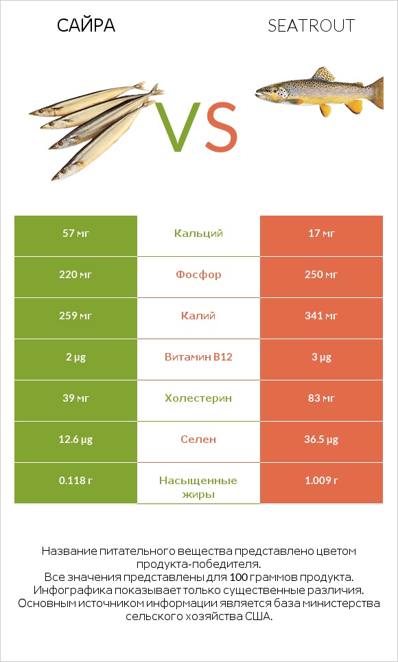 Сайра vs Seatrout infographic