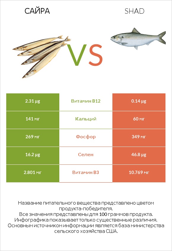 Сайра vs Shad infographic