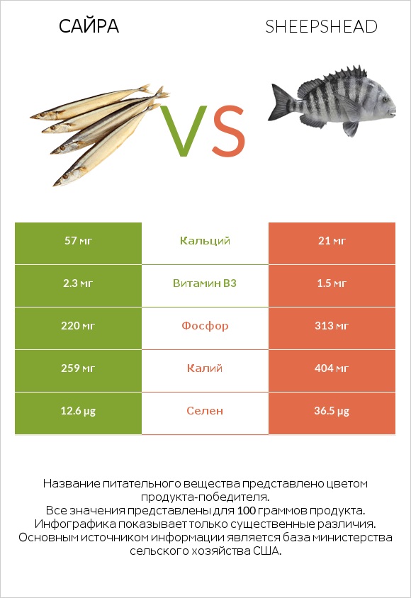 Сайра vs Sheepshead infographic