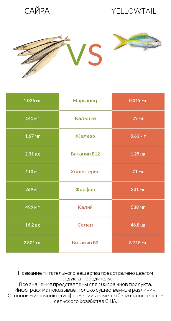 Сайра vs Yellowtail infographic