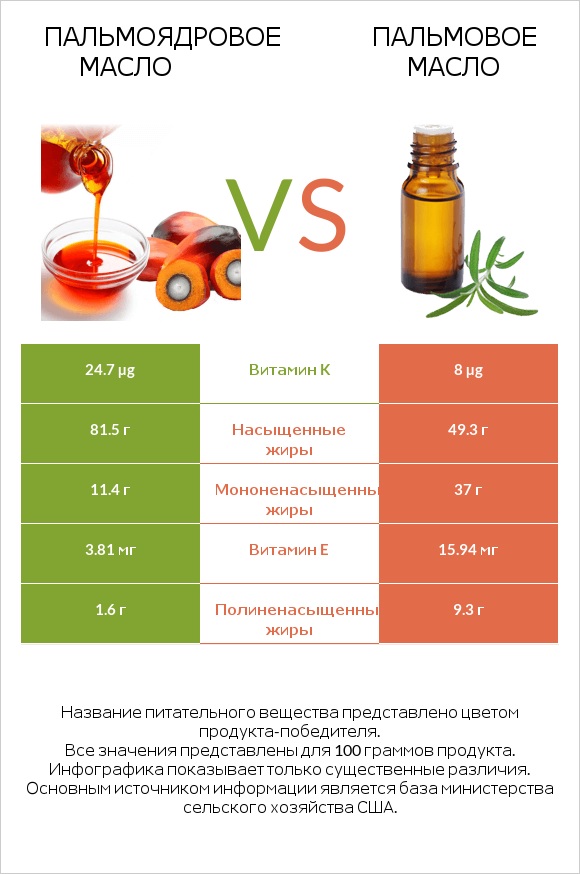 Пальмоядровое масло vs Пальмовое масло infographic