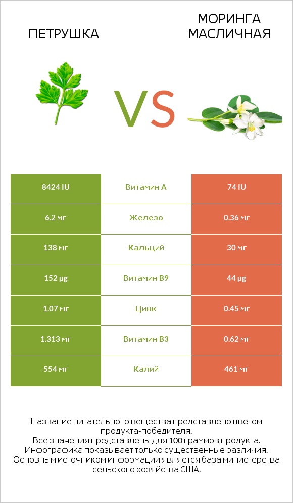 Петрушка vs Моринга масличная infographic