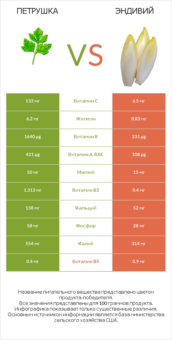 Петрушка vs Эндивий (Цикорий салатный)  infographic