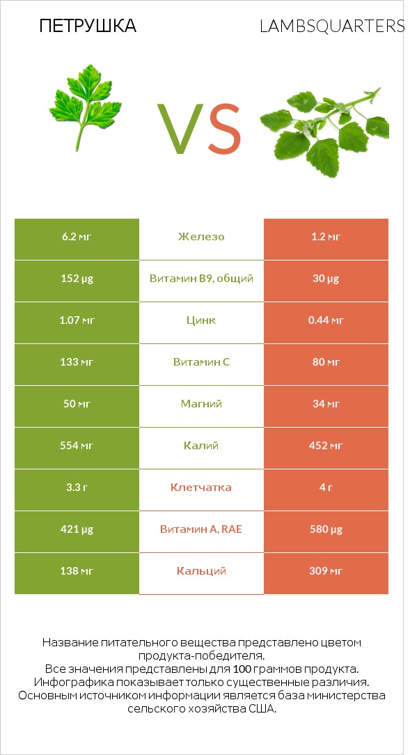 Петрушка vs Марь белая (Марь обыкновенная) или Листья мари белой infographic