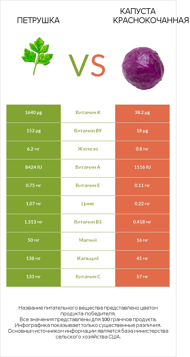 Петрушка vs Капуста краснокочанная infographic