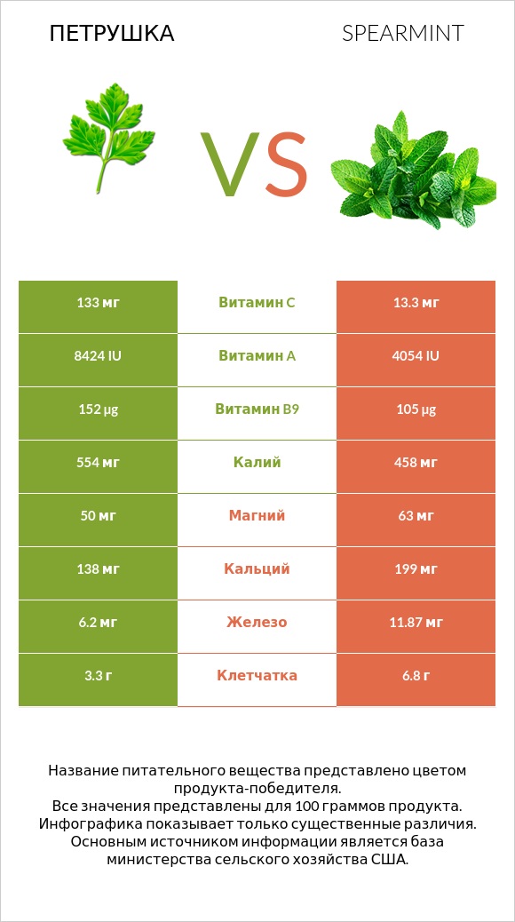 Петрушка vs Spearmint infographic
