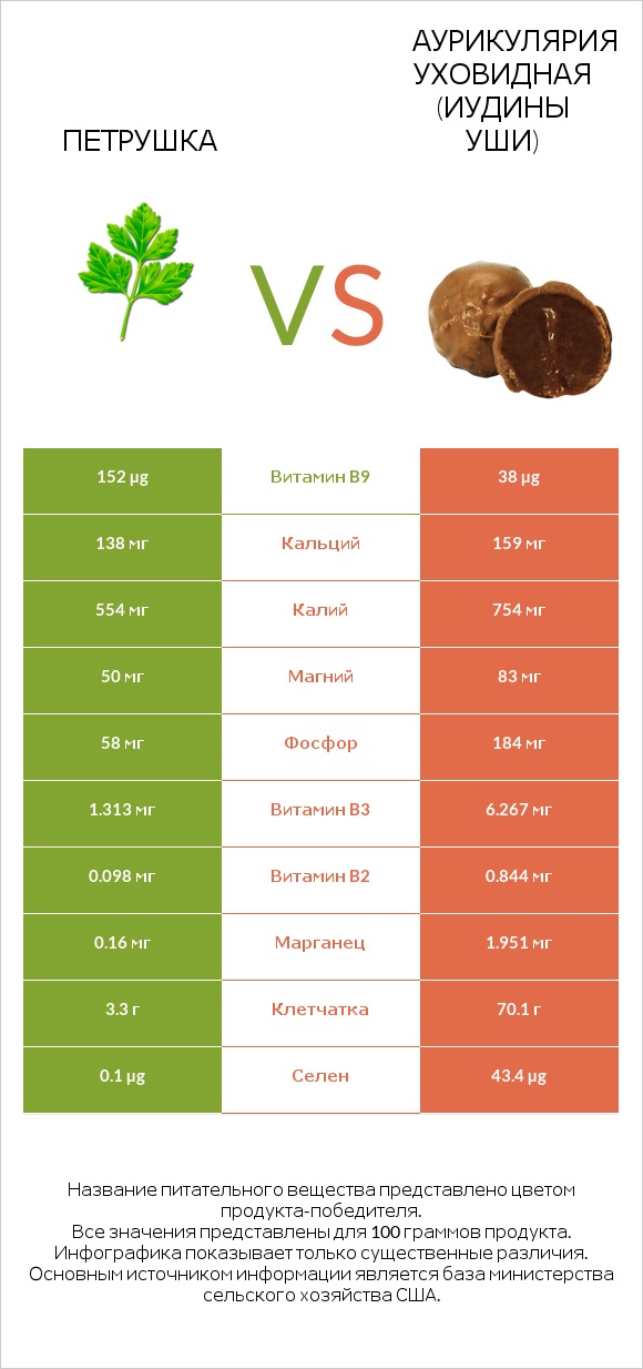 Петрушка vs Аурикулярия уховидная (Иудины уши) infographic