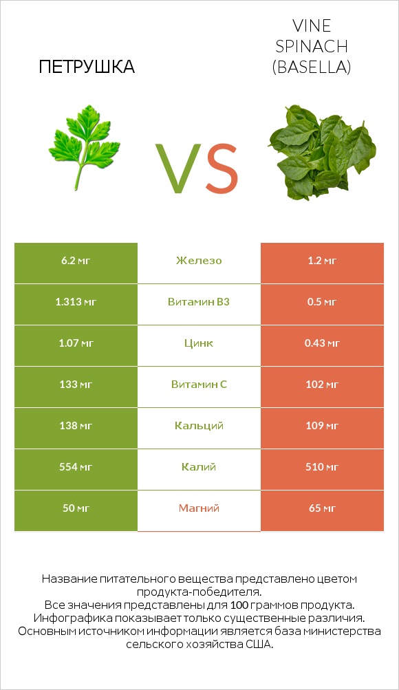 Петрушка vs Базелла белая infographic