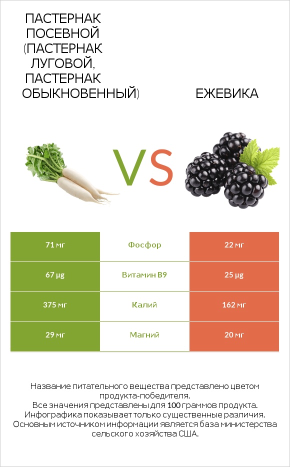 Пастернак посевной (Пастернак луговой, Пастернак обыкновенный) vs Ежевика infographic