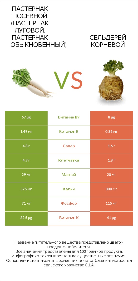 Пастернак vs Сельдерей корневой infographic