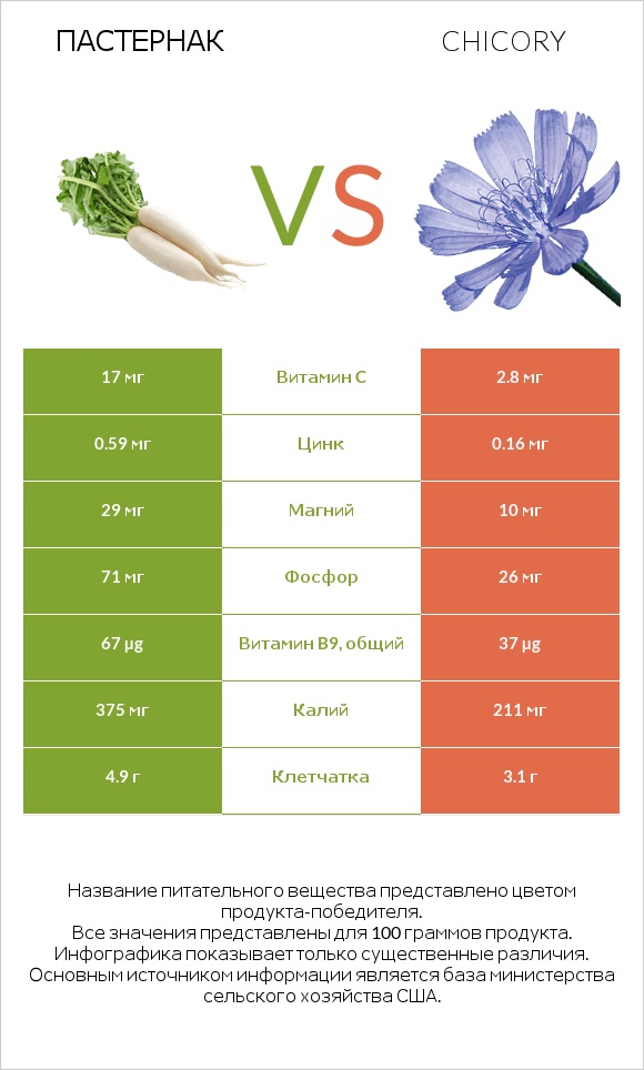 Пастернак vs Chicory infographic