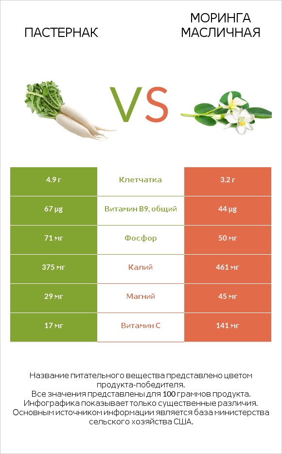 Пастернак vs Моринга масличная infographic