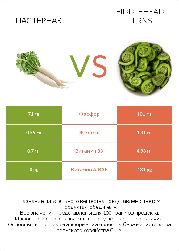 Пастернак vs Fiddlehead ferns infographic