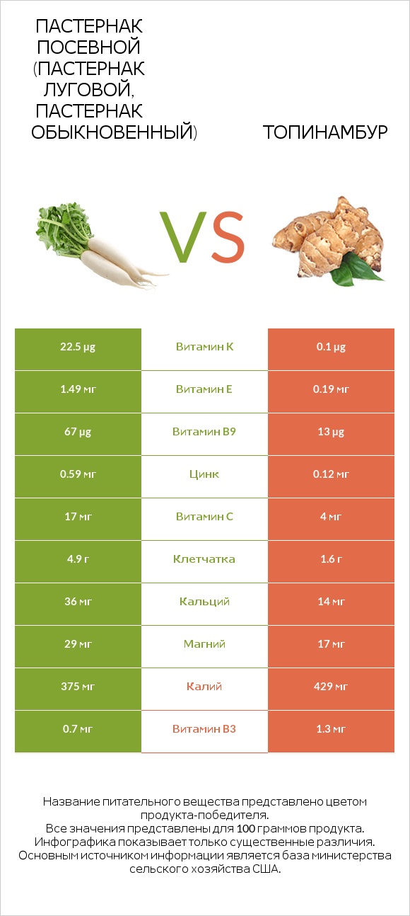 Пастернак vs Топинамбур infographic