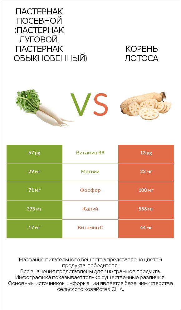 Пастернак посевной (Пастернак луговой, Пастернак обыкновенный) vs Корень лотоса infographic