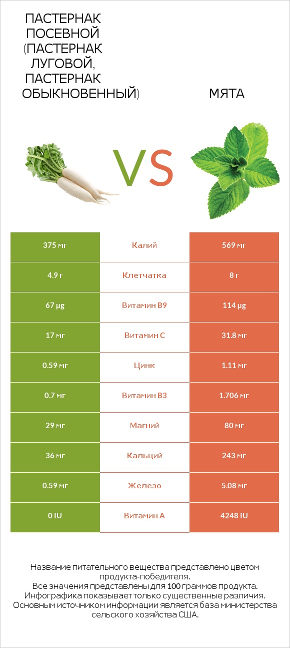 Пастернак посевной (Пастернак луговой, Пастернак обыкновенный) vs Мята infographic