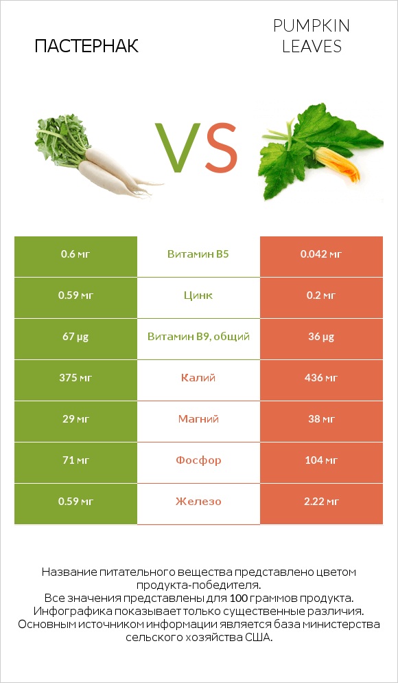 Пастернак vs Pumpkin leaves infographic