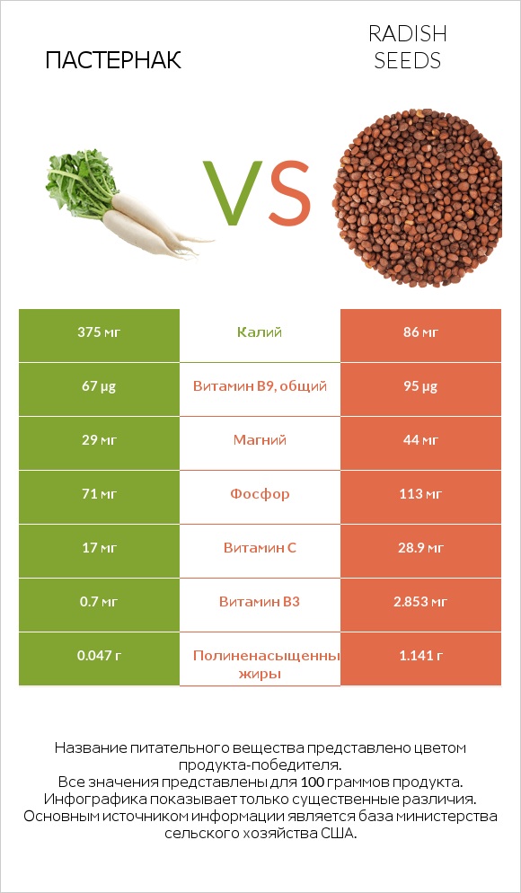 Пастернак vs Radish seeds infographic