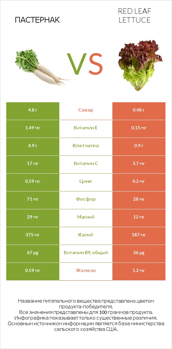 Пастернак vs Red leaf lettuce infographic
