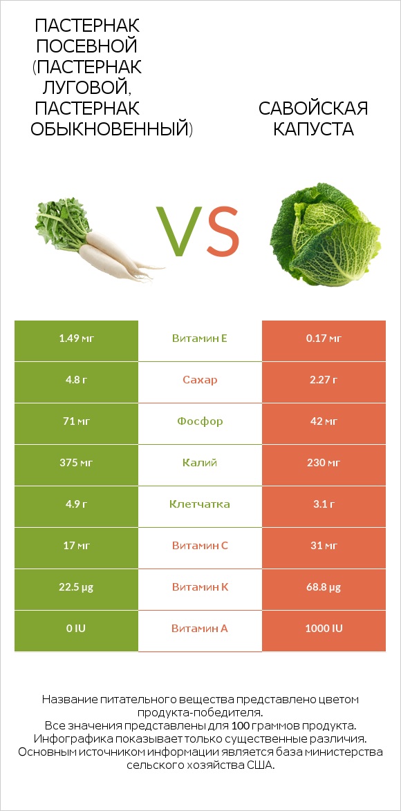 Пастернак vs Савойская капуста infographic