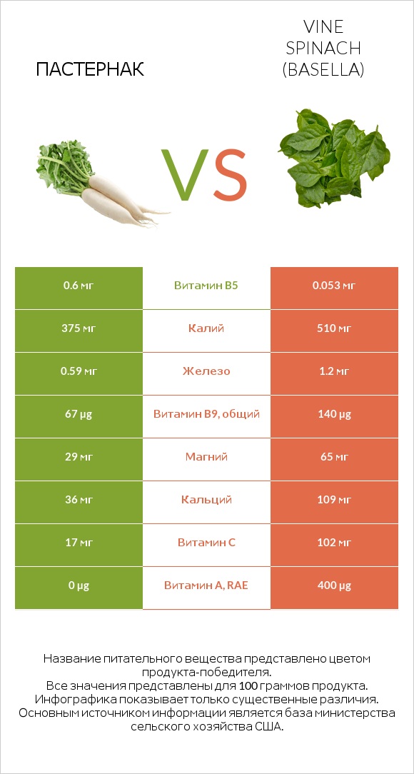 Пастернак vs Vine spinach (basella) infographic