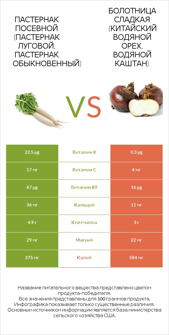 Пастернак vs Water chestnuts infographic