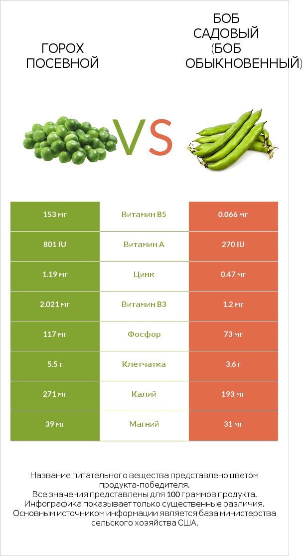 Горох посевной vs Боб садовый (Боб обыкновенный) infographic