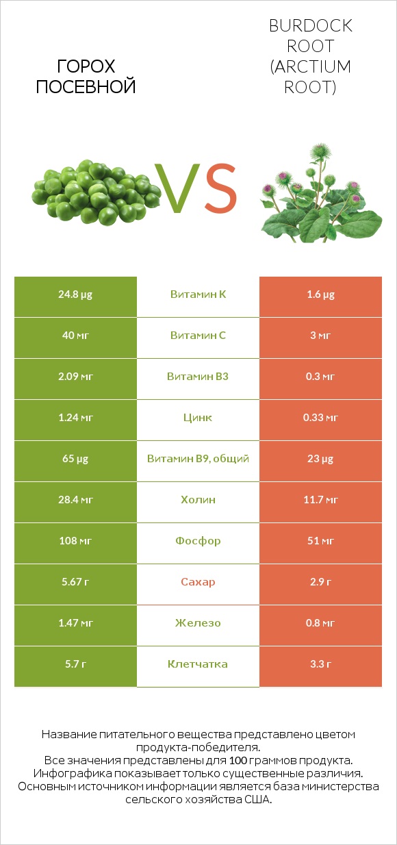 Горох посевной vs Burdock root infographic
