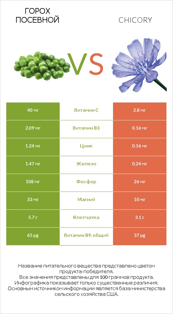 Горох посевной vs Chicory infographic