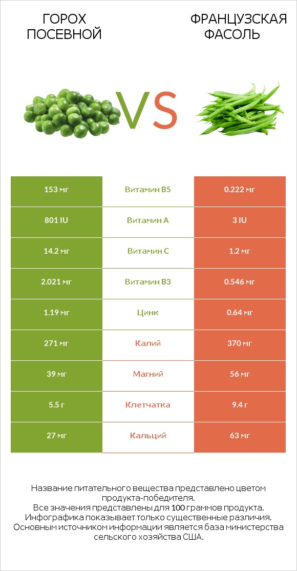 Горох посевной vs Французская фасоль infographic