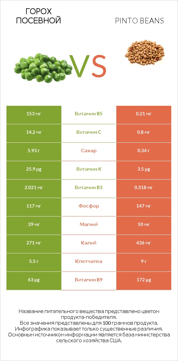 Горох посевной vs Фасоль пинто infographic
