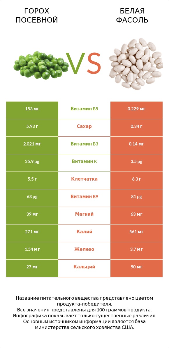Горох посевной vs Белая фасоль infographic