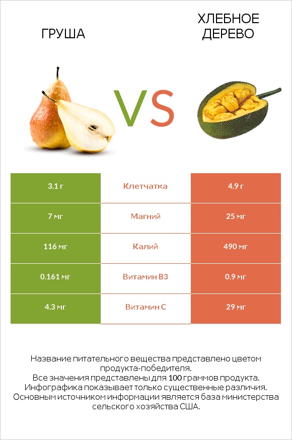Груша vs Хлебное дерево infographic