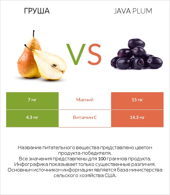 Груша vs Java plum infographic