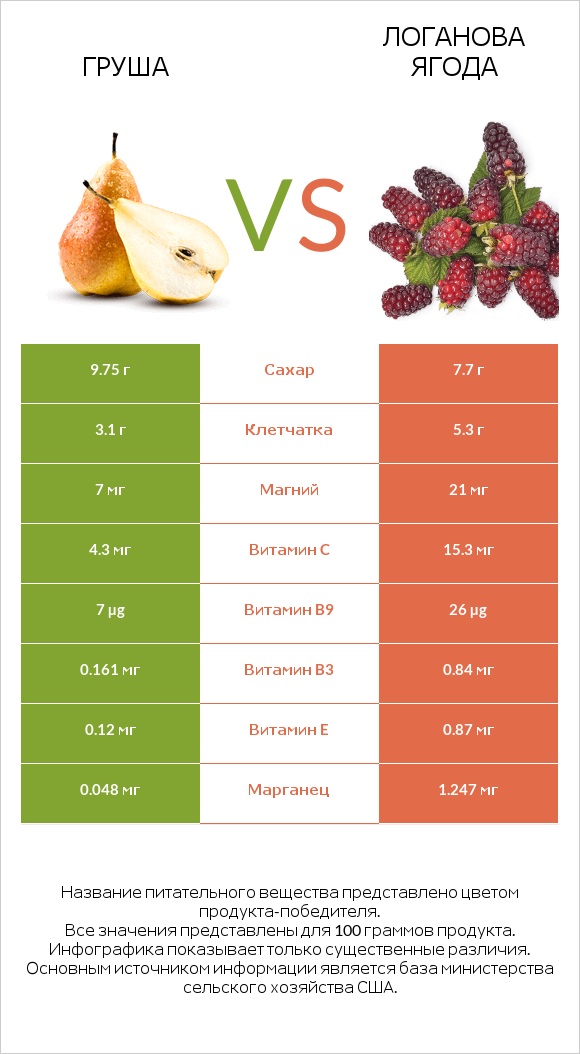 Груша vs Логанова ягода infographic