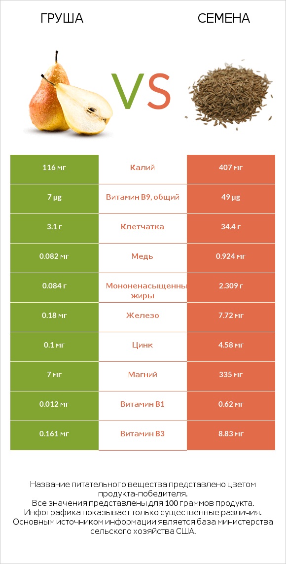 Груша vs Семена infographic