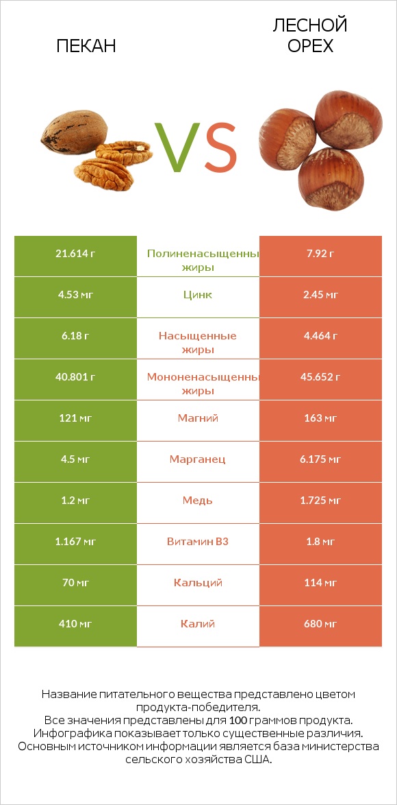 Пекан vs Лесной орех infographic