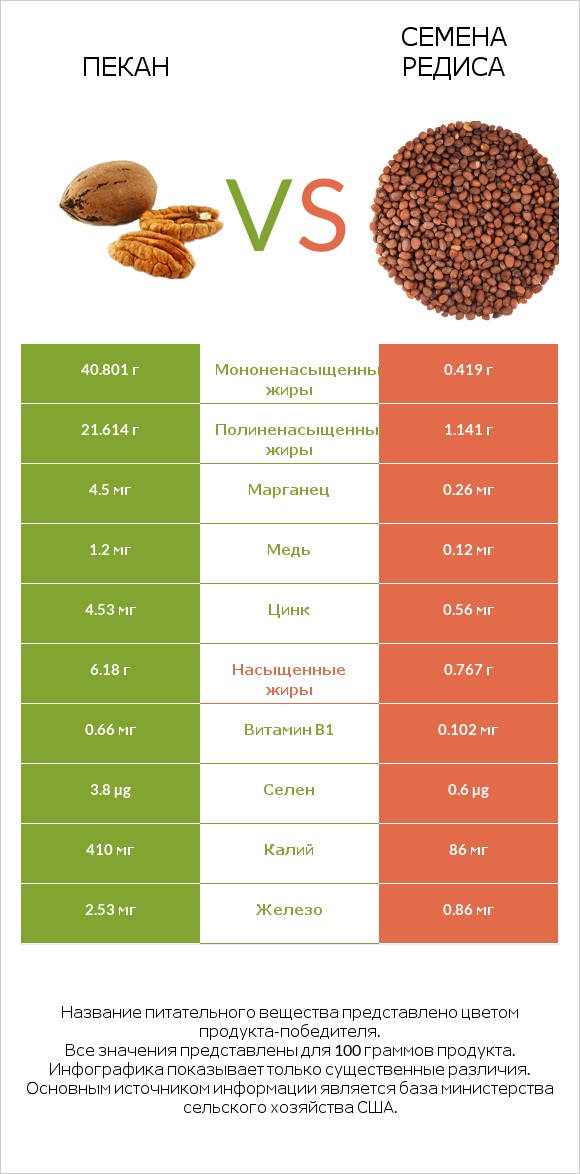 Пекан vs Семена редиса infographic