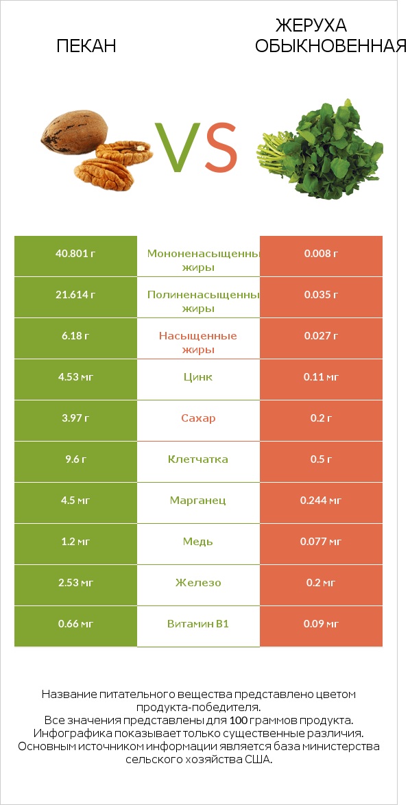 Пекан vs Жеруха обыкновенная infographic