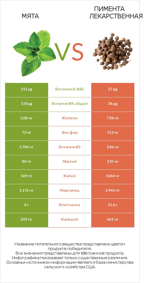 Мята vs Пимента лекарственная infographic