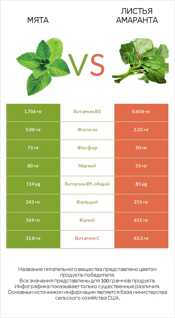 Мята vs Листья амаранта infographic