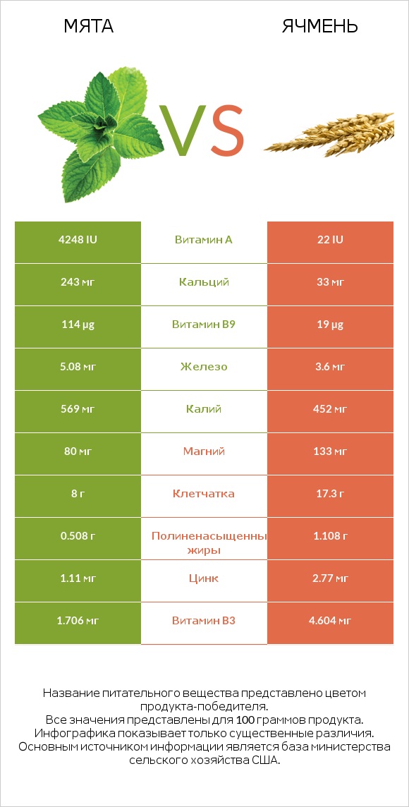 Мята vs Ячмень infographic