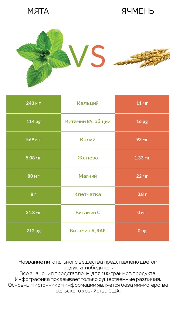 Мята vs Ячмень infographic